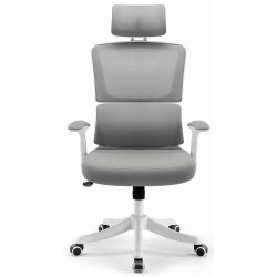 Fotel biurowy ergonomiczny obrotowy Hell's Chair HC- 1011 GREY Szary Biały
