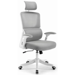 Fotel biurowy ergonomiczny obrotowy Hell's Chair HC- 1011 GREY Szary Biały
