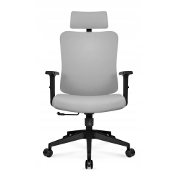Fotel biurowy ergonomiczny obrotowy Hell's Chair HC-1041 Szary Tkanina